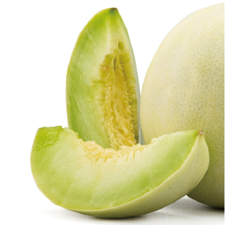 美濃瓜田間測試