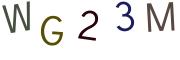 圖片的 CAPTCHA
