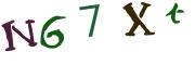 圖片的 CAPTCHA