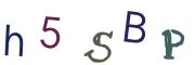 圖片的 CAPTCHA