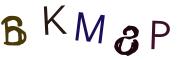 圖片的 CAPTCHA