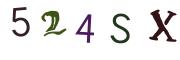 圖片的 CAPTCHA